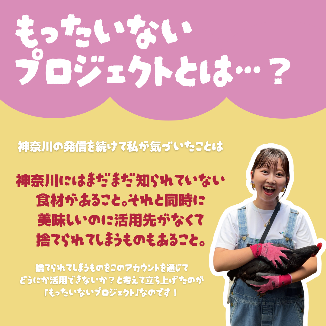 神奈川のもったいない酒粕スコーンアソートBOX