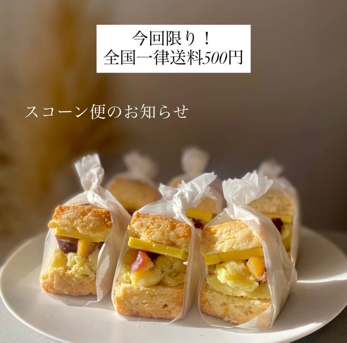秋のおいも×チョコ便