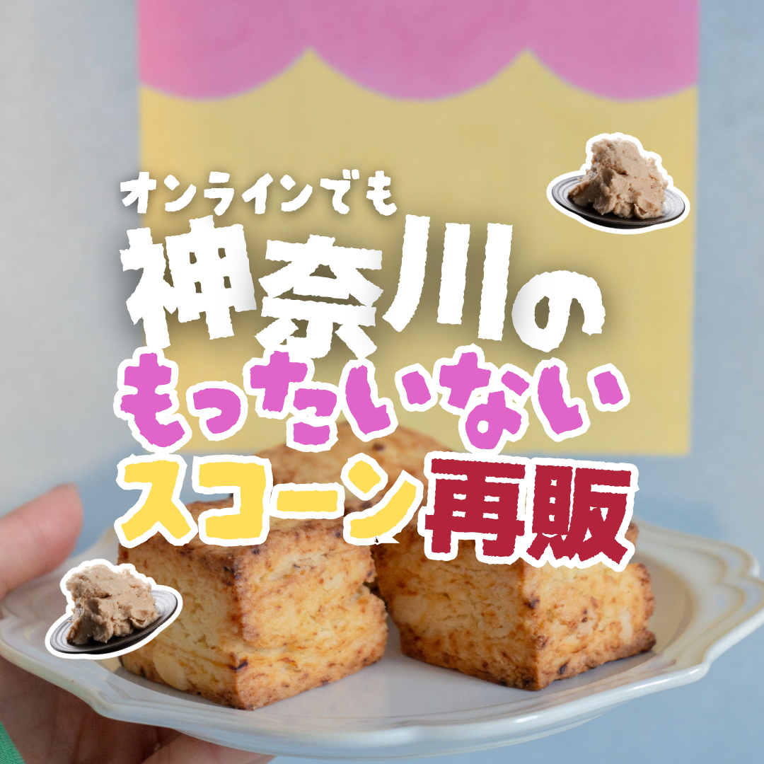 神奈川のもったいない酒粕スコーンアソートBOX